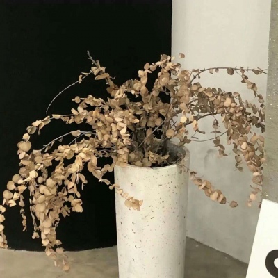 太白FurryQQ群介绍